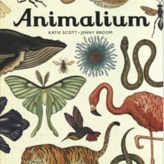 ANIMALIUM GF KATIE SCOTT