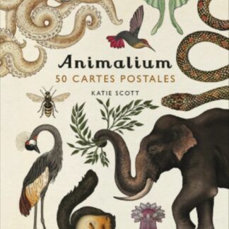 ANIMALIUM 50 CARTES POSTALES KATIE SCOTT
