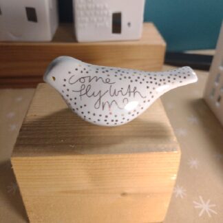 COME FLY WITH ME BIRD RAEDER