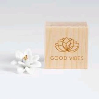 GOOD VIBES TO GO RAEDER