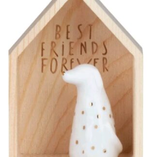 BEST FRIENDS FOREVER RAEDER