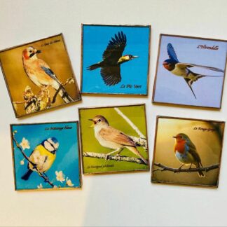 KIT 6 SOUS VERRES OISEAUX & SUPPORT CRÉATIONS DE MORANE