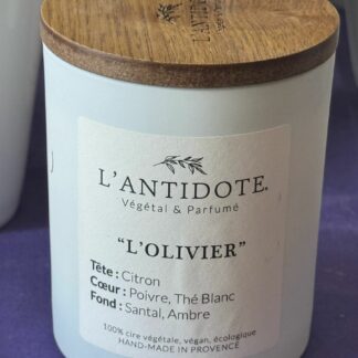 BOUGIE OLIVIER MEDIUM L’ANTIDOTE