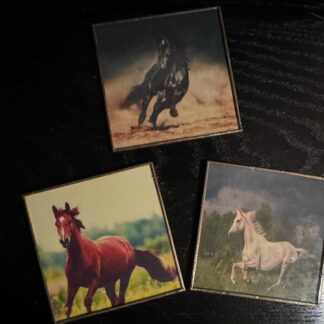 SOUS VERRE UNITÉ CHEVAUX CRÉATIONS DE MORANE