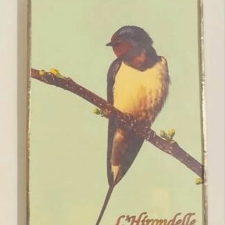 CADRE 10X15 HIRONDELLE CRÉATIONS DE MORANE