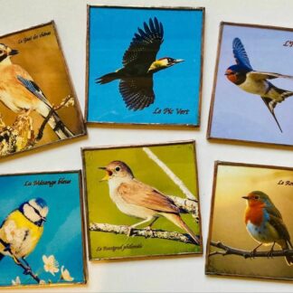 SOUS VERRE UNITÉ OISEAUX CRÉATIONS DE MORANE