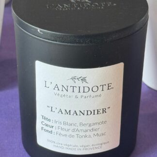 BOUGIE AMANDIER LARGE L’ANTIDOTE