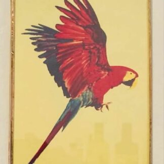 CADRE 10X15 PERROQUET CRÉATIONS DE MORANE