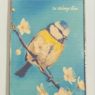 CADRE 10X15 MÉSANGE BLEUE CRÉATIONS DE MORANE